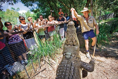 Hartley's Crocodile Adventure Half-Day Tour - Port Augusta Accommodation 4