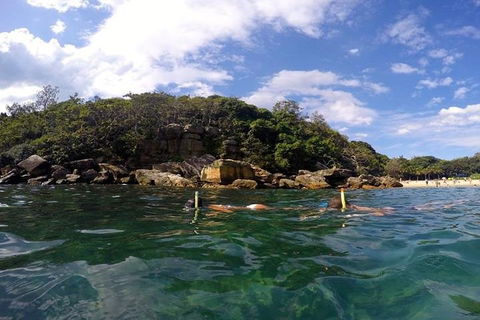 Manly And Shelly Beach Snorkeling Tour - Port Augusta Accommodation 4