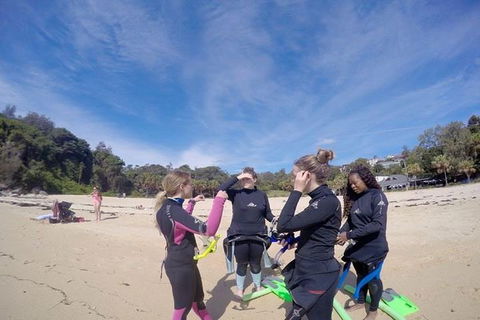 Manly And Shelly Beach Snorkeling Tour - Port Augusta Accommodation 5