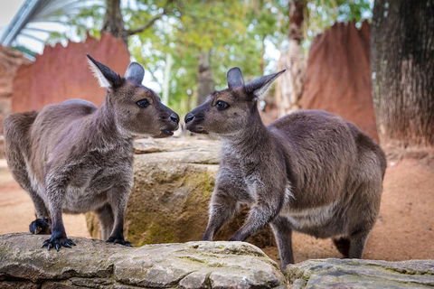 Australia Multi-City Attractions Pass - Port Augusta Accommodation 4