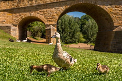 Richmond Historic Afternoon Tour From Hobart - Port Augusta Accommodation 1
