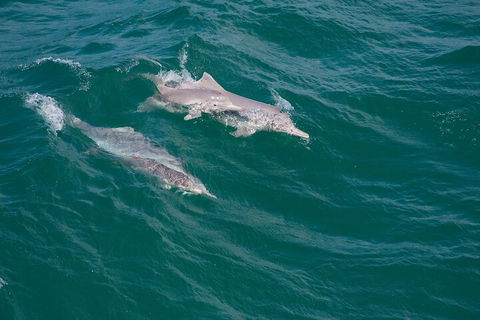 North Stradbroke Island Private Tour With Pickup - Port Augusta Accommodation 0