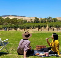 Private Picnic and Wine Tasting Experience in Barossa Valley