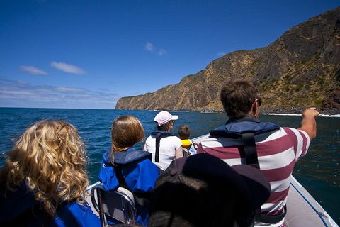 Seal Island Boat Tour From Victor Harbor - Port Augusta Accommodation 0