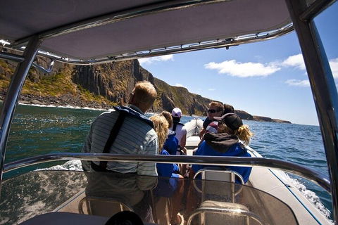 Seal Island Boat Tour From Victor Harbor - Port Augusta Accommodation 2