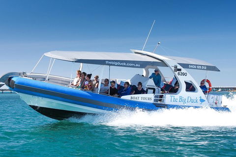 Seal Island Boat Tour From Victor Harbor - Port Augusta Accommodation 3