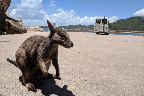 Magnetic Island Tour: Maggie Comprehensive - Port Augusta Accommodation 0