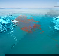 Ocean Freedom Great Barrier Reef Personal Luxury Snorkel  Dive Cruise Cairns - Port Augusta Accommodation