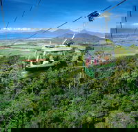 Best of Kuranda Including Skyrail Kuranda Scenic Railway and Rainforestation - Port Augusta Accommodation