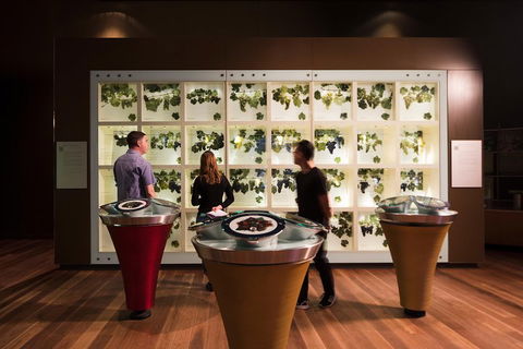 Australian Wine Discovery Tour Ticket - Port Augusta Accommodation 3