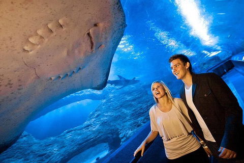 Dive With Sharks At AQWA - Port Augusta Accommodation 0