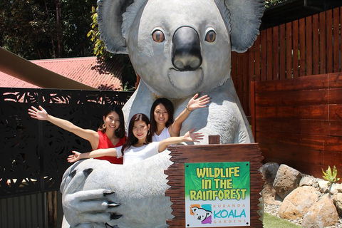 Kuranda Koala Gardens And Birdworld Admission Tickets - Port Augusta Accommodation 3