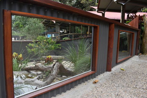 Kuranda Koala Gardens And Birdworld Admission Tickets - Port Augusta Accommodation 4