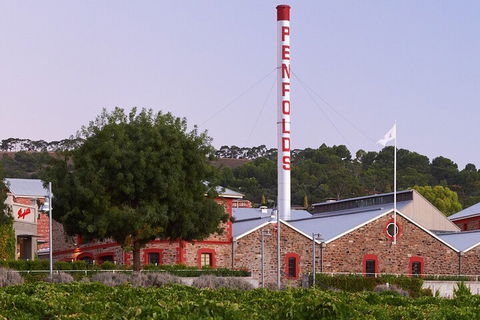 Ultimate Penfolds Magill Estate Experience - Port Augusta Accommodation 3