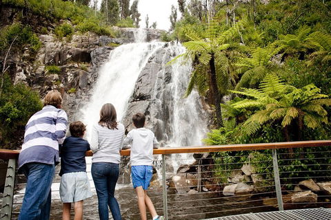 Lake Mountain Snow Trip Including Yarra Valley Chocolaterie From Melbourne - Port Augusta Accommodation 0