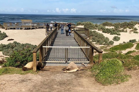 Kangaroo Island 4WD Tour - Best Of KI - Port Augusta Accommodation 2
