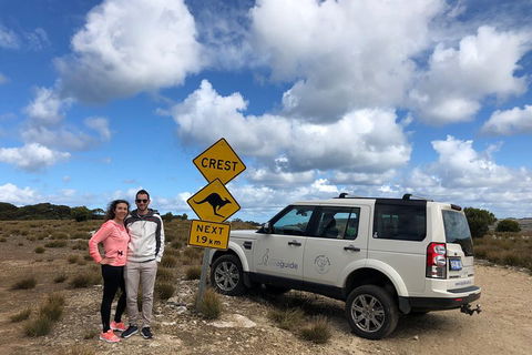 Kangaroo Island 4WD Tour - Best Of KI - Port Augusta Accommodation 5