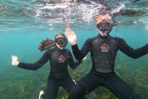 Manly Snorkel Trip And Nature Walk With Local Guide - Port Augusta Accommodation 3