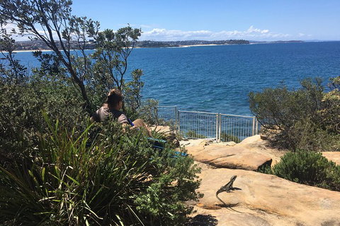 Manly Snorkel Trip And Nature Walk With Local Guide - Port Augusta Accommodation 4