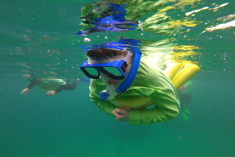 Manly Snorkel Trip And Nature Walk With Local Guide - Port Augusta Accommodation 5