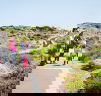 Margaret River Coastal and Wildlife Eco Trip from Busselton or Dunsborough - Port Augusta Accommodation
